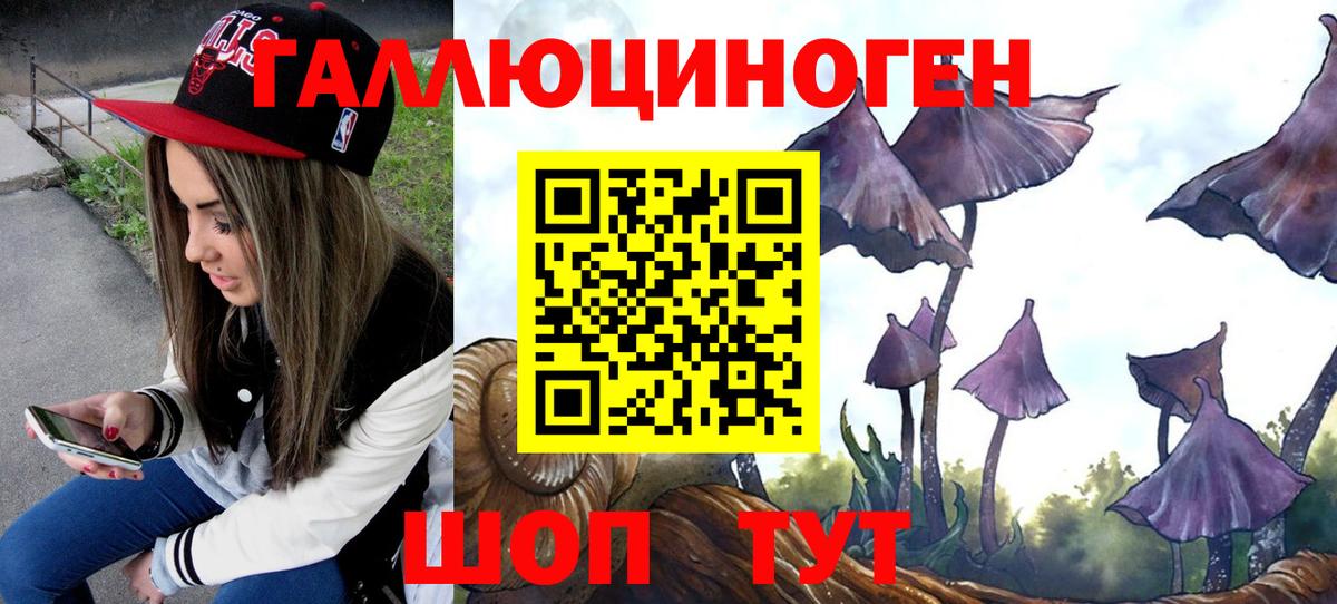 Чебоксары  Галлюциногенные грибы прущие грибы  Вход с VPN  Галлюциногенные грибы Psilocybine cubensis 